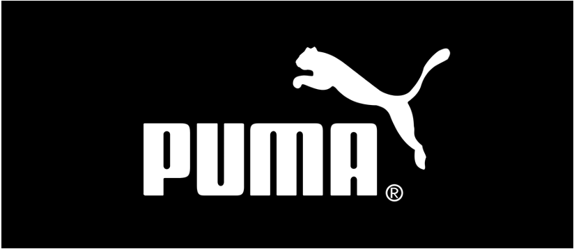 Sponsor puma cheap